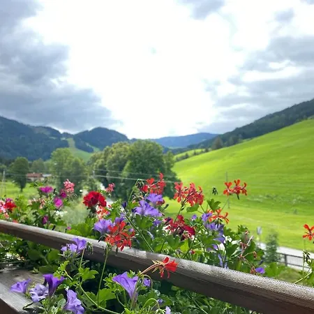 Sonnenlicht Maria Alm am Steinernen Meer