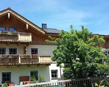 Sonnenlicht מריה אלם אם שטיינרנן מיר